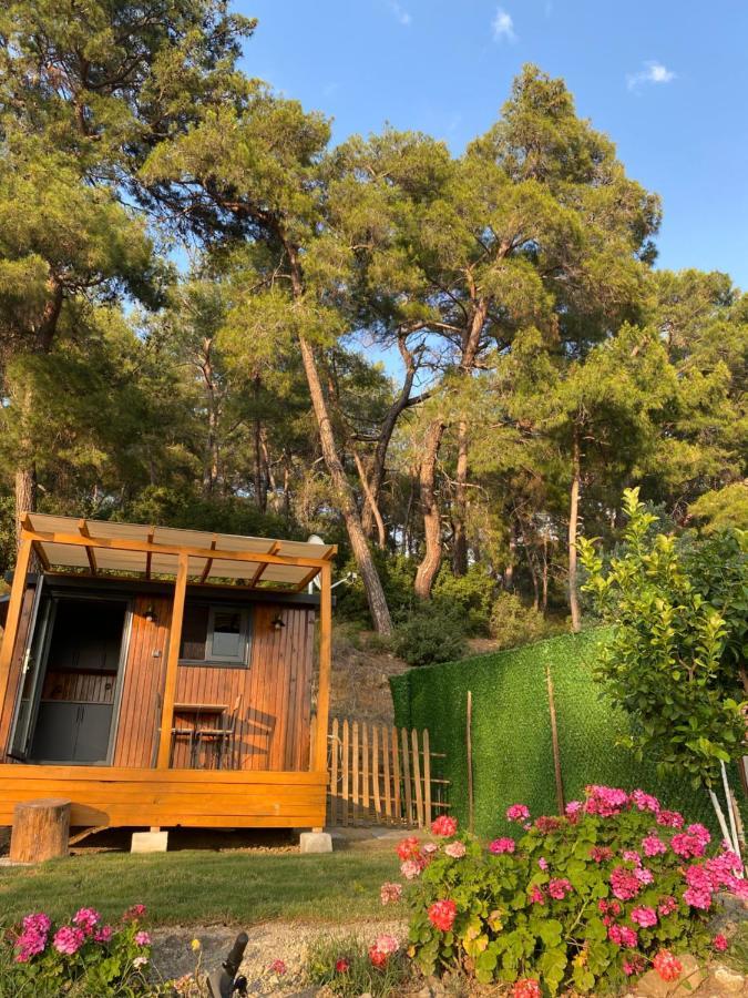 Tiny Mini House Hotel Dalaman Exterior photo