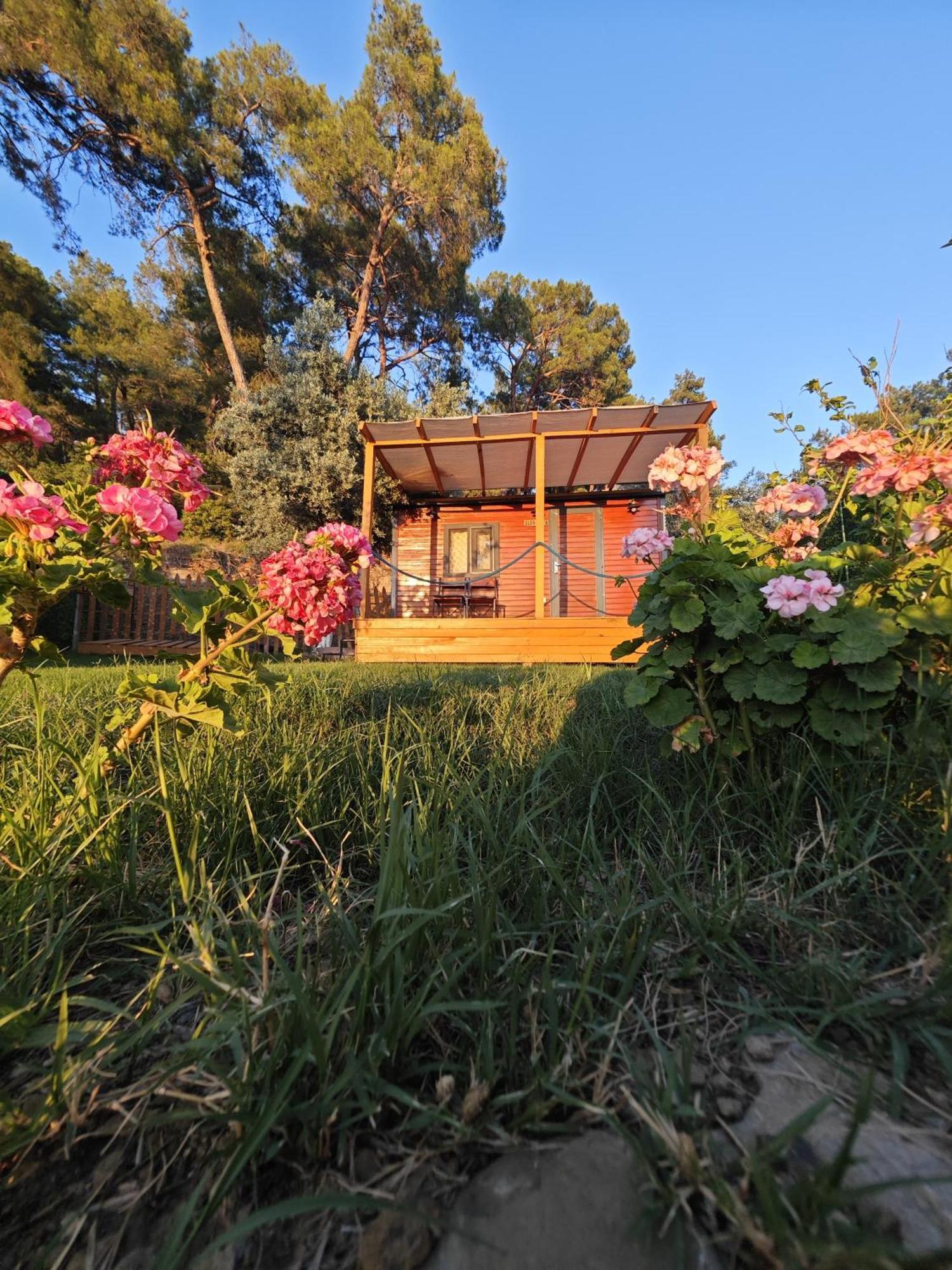 Tiny Mini House Hotel Dalaman Exterior photo