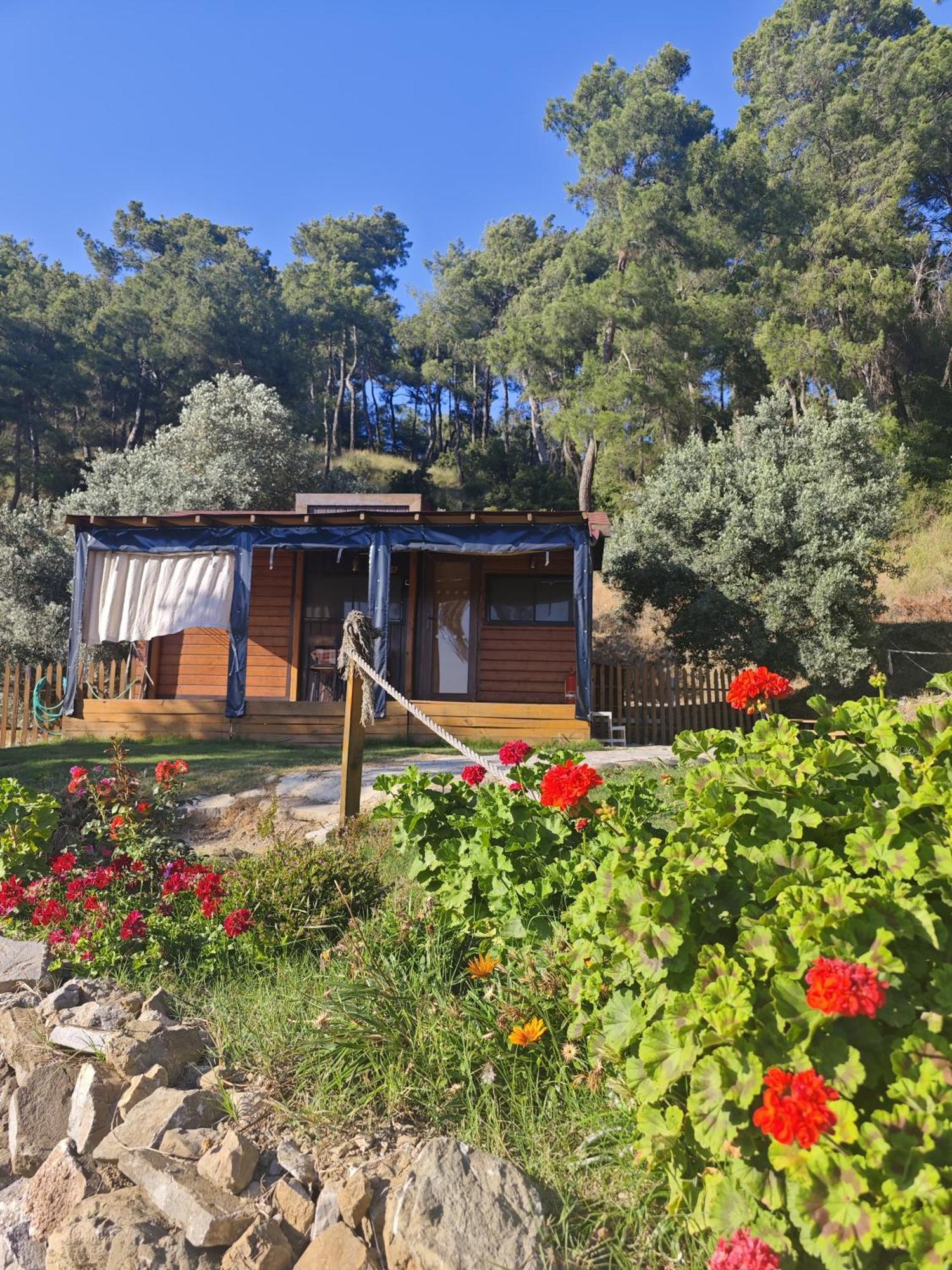 Tiny Mini House Hotel Dalaman Exterior photo